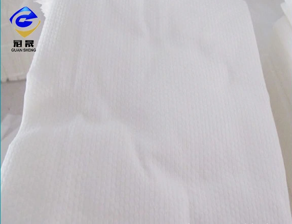 Good Price 100% 75GSM Viscose Soft White Color Pearl DOT Disposable Facial Towel Spunlace Non Woven Textile Fabric